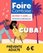 Entrée Internet Prévente Adulte FC 2025